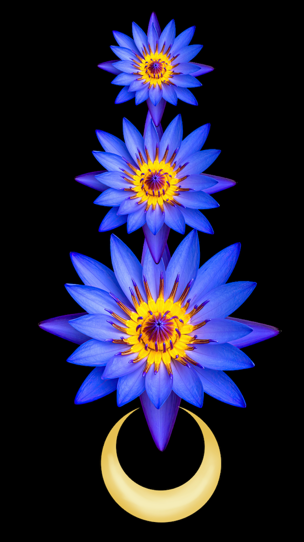BLUE LOTUS: spirit of intuition