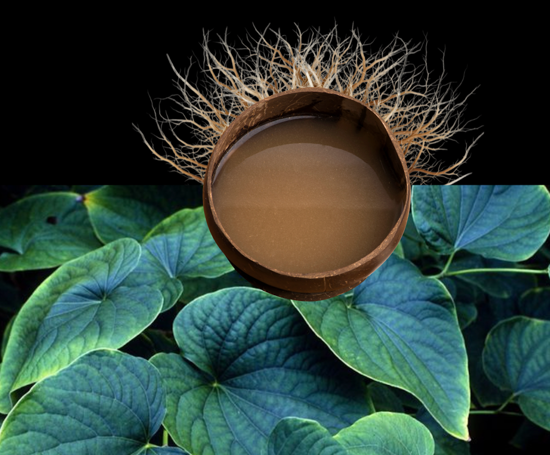 KAVA KAVA: spirit of celebration