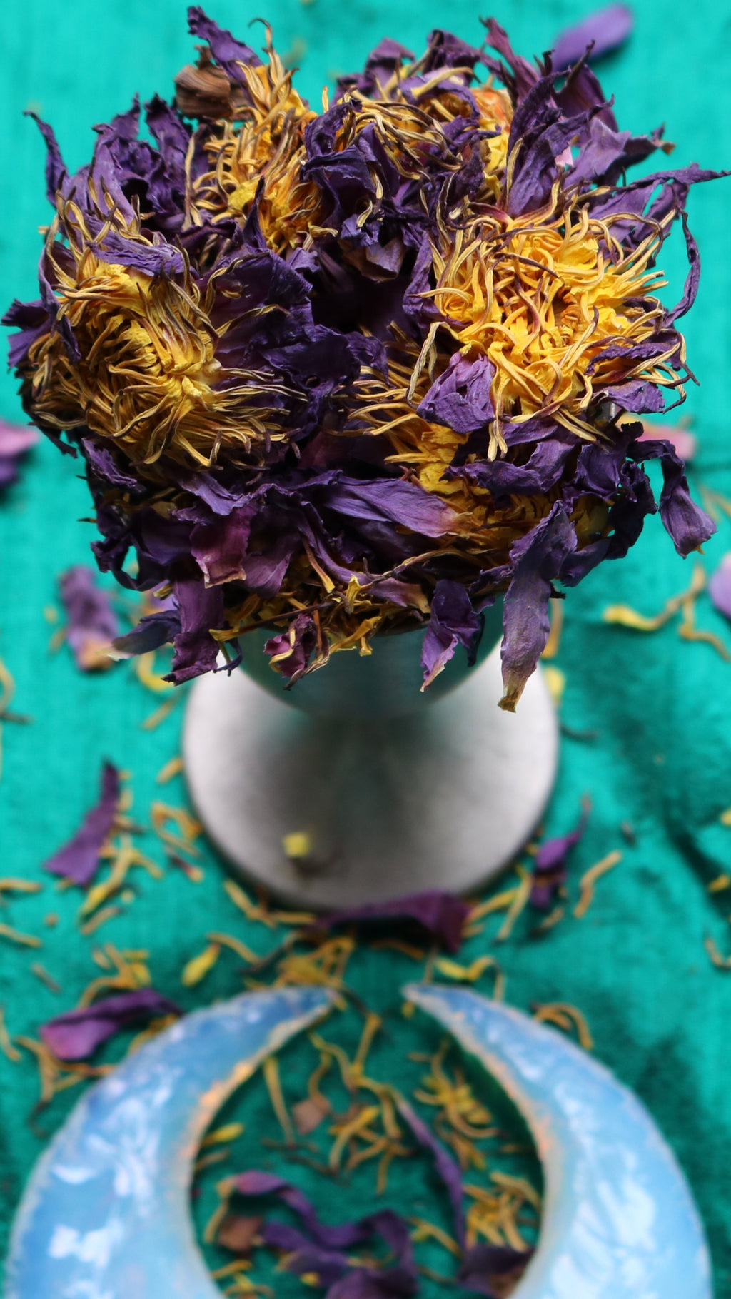 BLUE LOTUS
