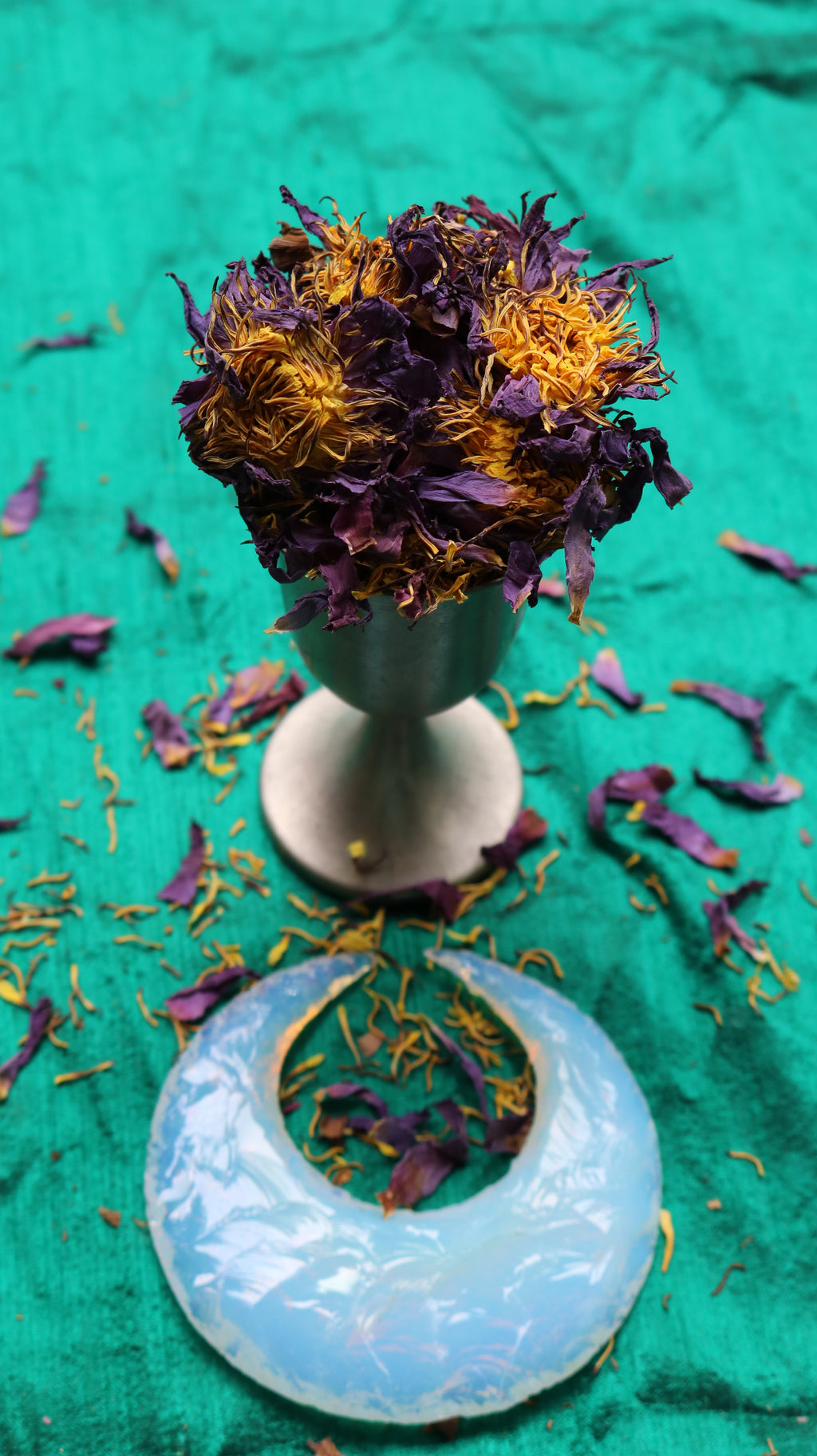 BLUE LOTUS