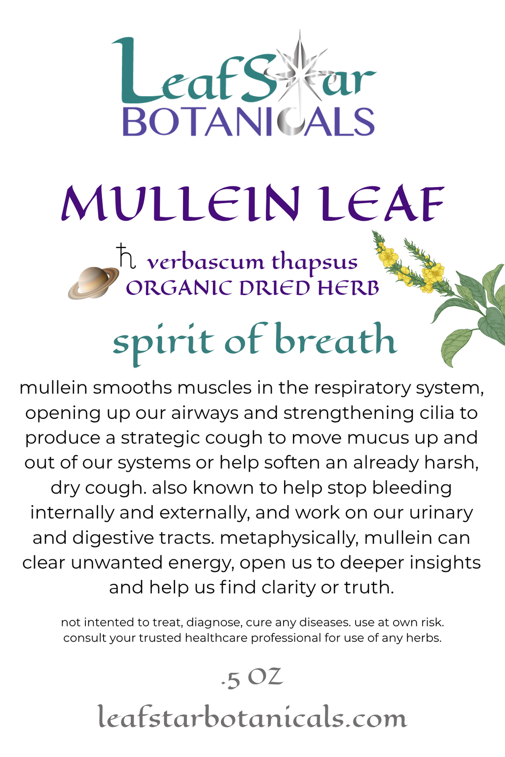 MULLEIN LEAF