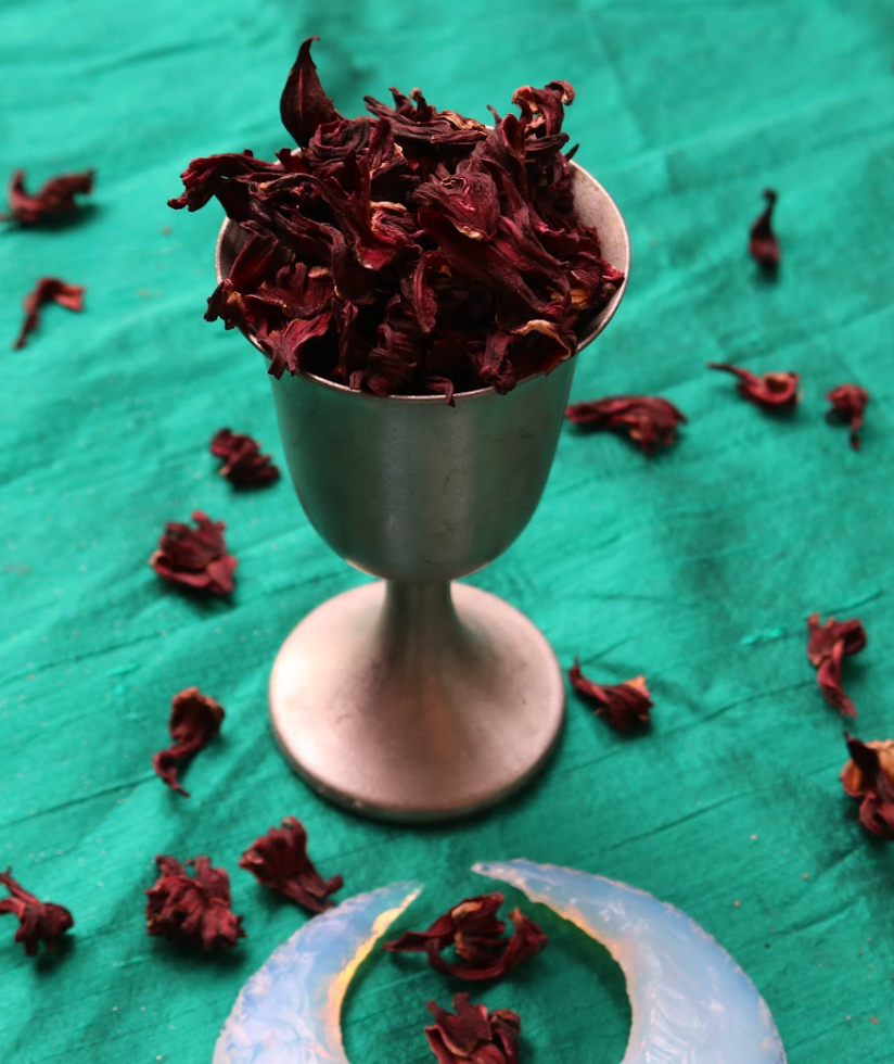 HIBISCUS