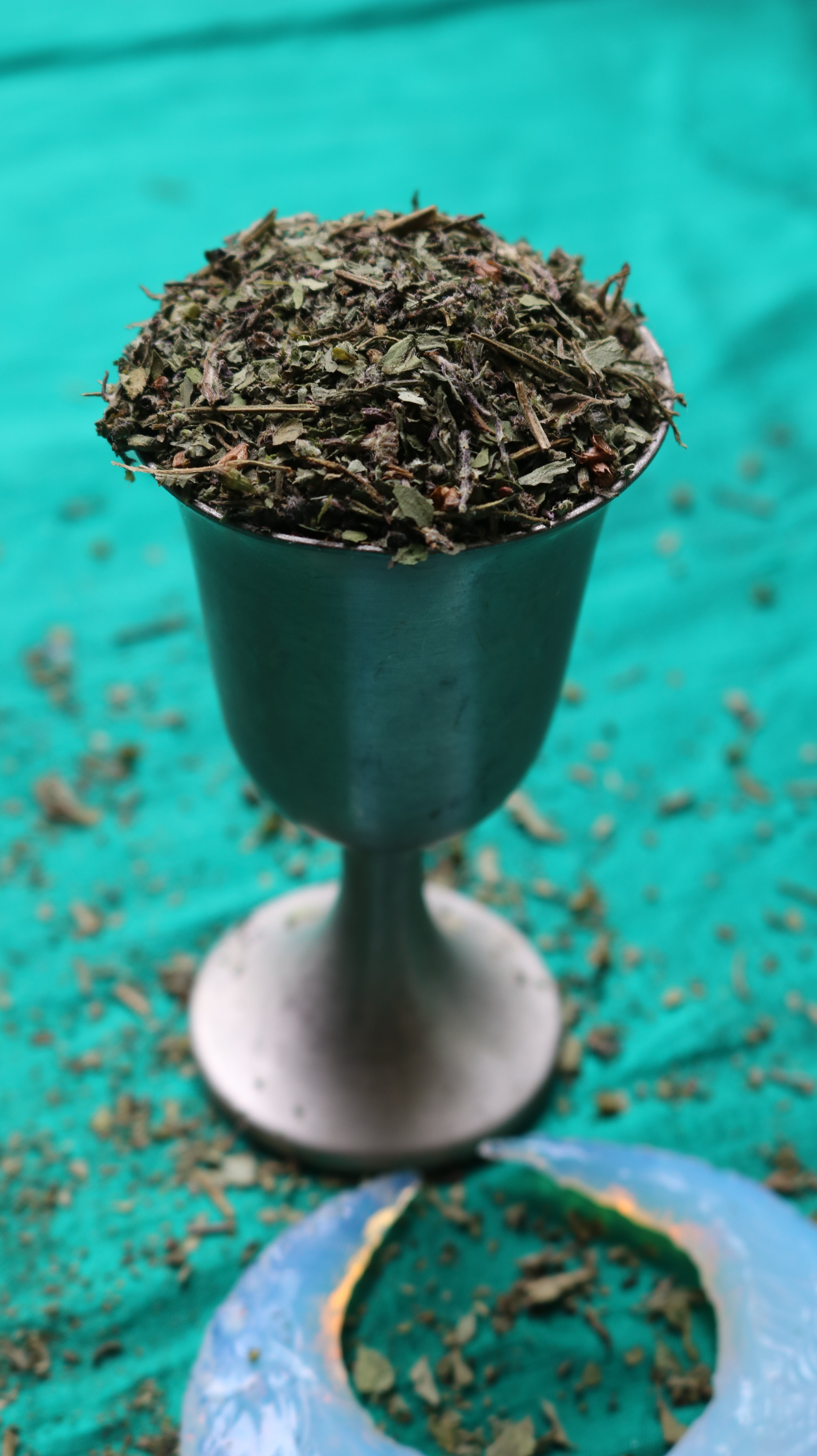 KAPOOR TULSI